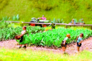 Buraki 30  szt, skala H0, NOCH 14110