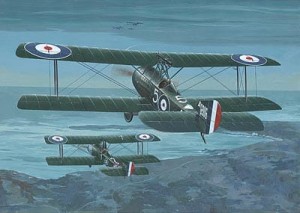 Samolot, Sopwith Strutter Comic Fighter , skala 1:48, RODEN 407