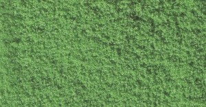 Płatki koloru jasnozielonego 20 g, NOCH 07202