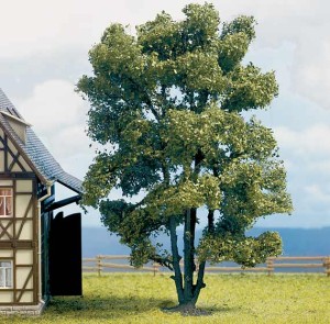 Akacja wielopniowa, skala H0, NOCH 21660