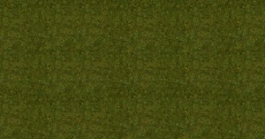 Trawa sypka 2,5 mm , łąka, 20 g, NOCH 08312