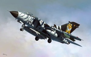 Long-range jet fighter PANAVIA Tornado ECR, skala 1:48, HOBBY BOSS 80354