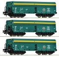 6600195.jpg
