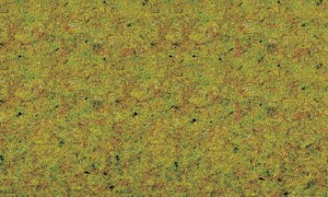 Trawa sypka ,łaka letnia, 20 g, NOCH 08310