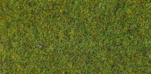 Zdźbła trawy, wiosenna łąka, skala H0/N/TT, HEKI 3350