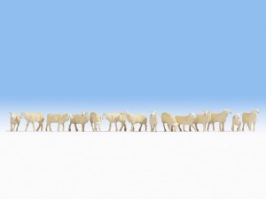 Owce, skala H0, NOCH 15749