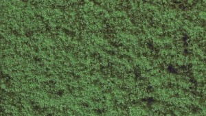 Płatki koloru oliwnego 20 g, NOCH 07200