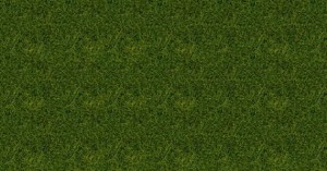 Dzika trawa, jasnozielona 12mm, 40g,  skala 0, NOCH 07112