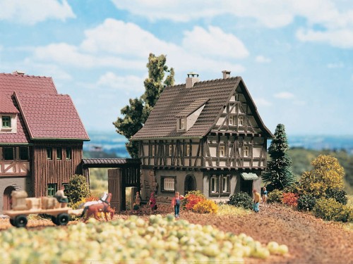 49530.jpg