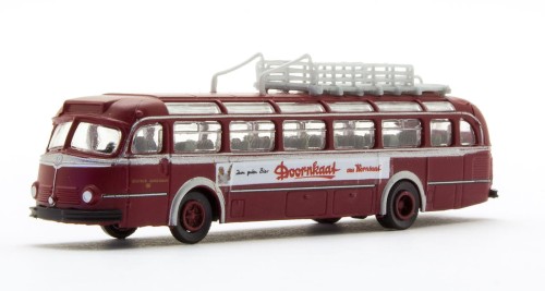 LC3523.jpg