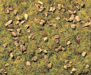 Górskie trawy skalne 2,5 mm,  20 g, NOCH 08360