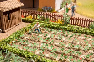 Truskawki 48 szt, skala H0, NOCH 14130