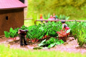 Rabarber 6 szt, skala H0, NOCH 14108